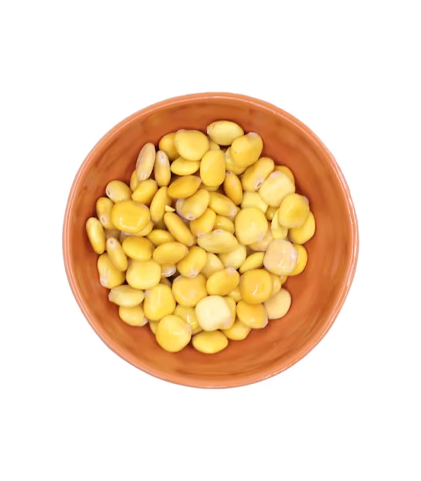 ترمس كبير ترمس كبير - الصورة 1