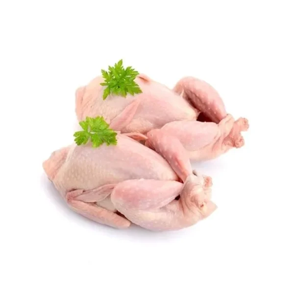 حمام جامبو بلدي