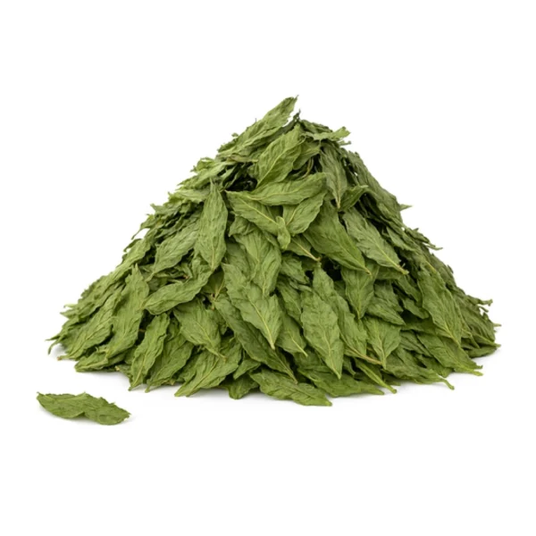 ملوخية مجففة